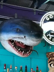 f5bc0eed-ac40-4239-b435-476123b6f421